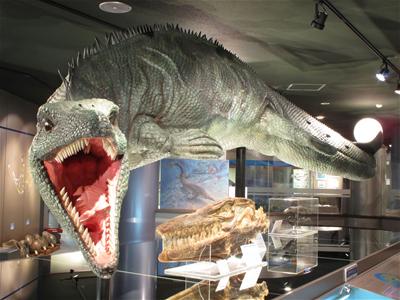 モササウルス類復元模型（穂別博物館）