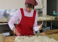 米が40℃になったら麹菌をふる