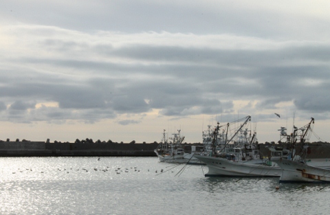鵡川漁港